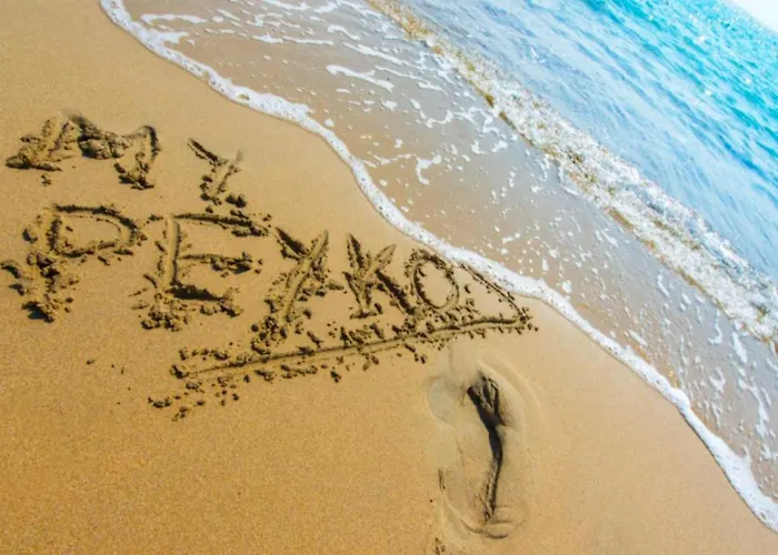 In - Rock Garden By The Hotel